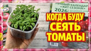 Срочно меняю сроки посева. Эти помидоры больше не посажу!