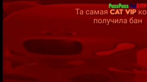 Кат вип когда получила бан