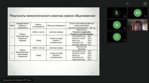 Многовидовые посадки с участием сирени как прием создания устойчивых растительных сообществ