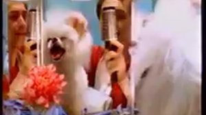 Рекламные блоки и конец эфира (ТВ-6, 05.03.1998)