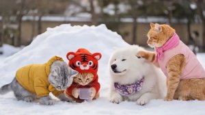 МУЛЬТФИЛЬМ ДЛЯ ДЕТЕЙ ,про котят и зиму