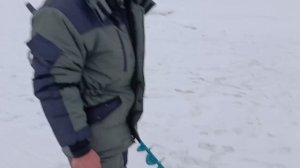 VID_20260305_112729_478