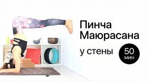 ЙОГА: Освоение стойки на предплечьях. Пинча Маюрасана для начинающих | Chilelavida Елена Малова