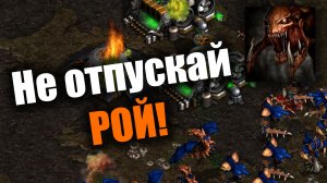 Флеш и его легендарное макро или?...: Starcraft: Remastered