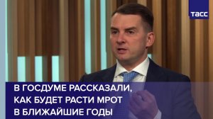 В Госдуме рассказали, как будет расти МРОТ в ближайшие годы