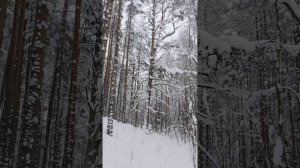 Метель Юлия Михальчик