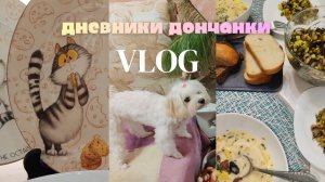 Игрушки Мишель🐶 Коллекция больше, чем у детей😳 Готовлю новый салатик🥗 🍽 #влог #рецепты #донецк
