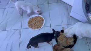 Пришло время всем плотно подкрепиться.