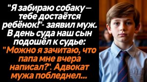 Жизненные истории/Я забираю собаку, а тебе достаётся ребёнок! - заявил муж перед судом