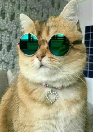 ИГРАЕМ В СТЭНДОФ ❤️