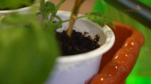 Мой загородный 237