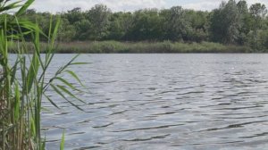 Kraljevski vikend 2. Deo EP250 16072024