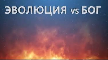 Эволюция vs Бога👆🙈🙉🙊