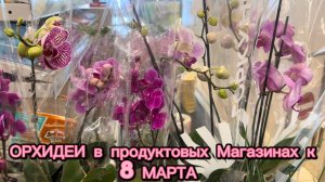 Завоз ОРХИДЕЙ в продуктовые МАГАЗИНЫ 🌸 #орхидеи