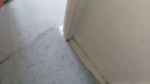 Квартира 157 Днепр 2026