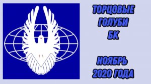 Торцовые голуби БК (Белокалитвинские). Ноябрь 2020 года