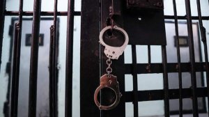 Укравшие у участников СВО 44 млн рублей члены банды задержаны