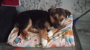 шок 🤯 я нашла под дверью своей квартиры...