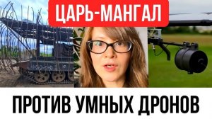 Смекалка против интеллекта