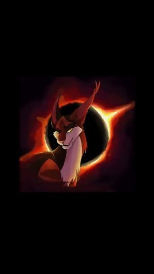 Сол/Эдит/коты воители/