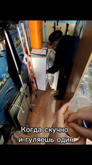 Когда скучно и гуляешь один