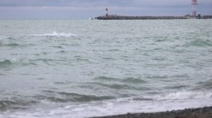 Сочи весенний. Видеооператор в Сочи 89183029665