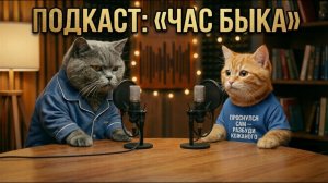 🤣 Подкаст котов #10  |  Тайна 3:00 ночи: Почему мы бегаем по потолку? ⏰