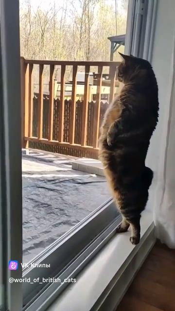 за окном интересно