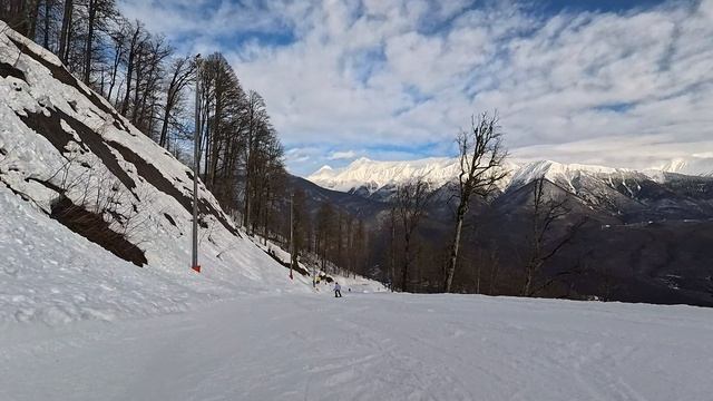 2026-02-15 Сочи. Реликтовый лес (синяя)