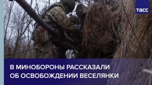 В Минобороны рассказали об освобождении Веселянки