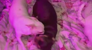 Доброго всем утречка и чудесной пятницы.