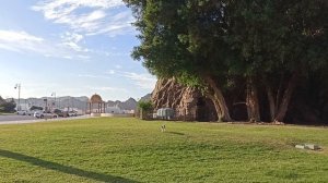 Очень ухоженный город-Маскат!