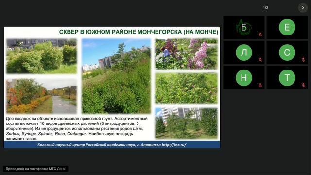 Роль Полярно-альпийского ботанического сада-института КНЦ РАН в формировании зеленой среды