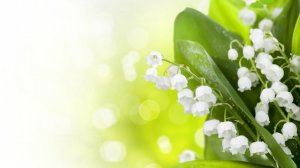 Поздравление мамочке !