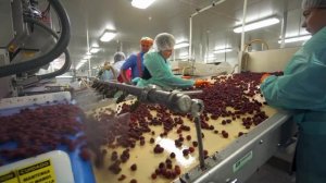 Песня Про Малину  ｜ Блиппи на Русском ｜ Изучай этот Мир в