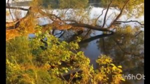 К. Никольский - Прошедший день