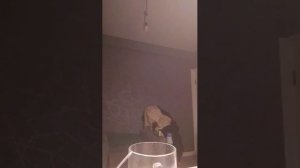 АЛЛАГЬ Велик ❤️