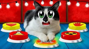 КОТ МАЛЫШ УПРАВЛЯЕТ НАМИ 24 ЧАСА с ПОМОЩЬЮ КНОПОК! ЗАДАНИЯ от ПОДПИСЧИКОВ!