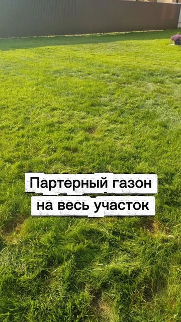 Кто такие ландшафтные дизайнеры?