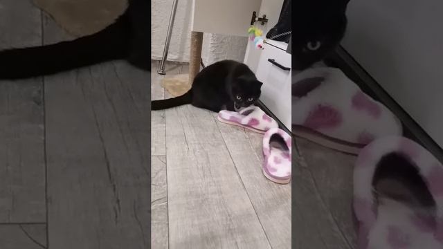 Переезд к Инге