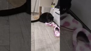 Переезд к Инге