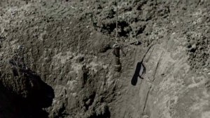 3 Буянов Андрей