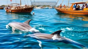 Морской мир