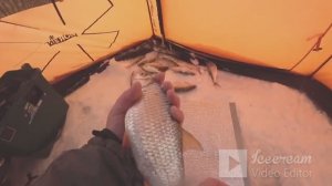 Вся ПЛОТВА у моей ЛУНКИ...Друзья в ШОКЕ!!!