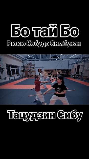 Рюкю Кобудо Симбукан. Тацудзин Сибу