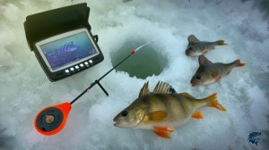 РЫБАЛКА НА ОКУНЯ! НАШЁЛ ТЕ САМЫЕ ЛУНКИ И НАЛОВИЛ! 🐟