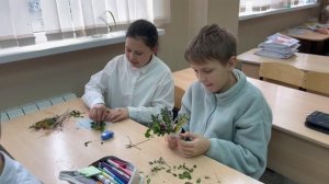 Мастер-класс сухоцветы