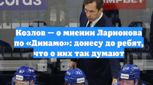 Козлов — о мнении Ларионова по «Динамо»: донесу до ребят, что о них так думают