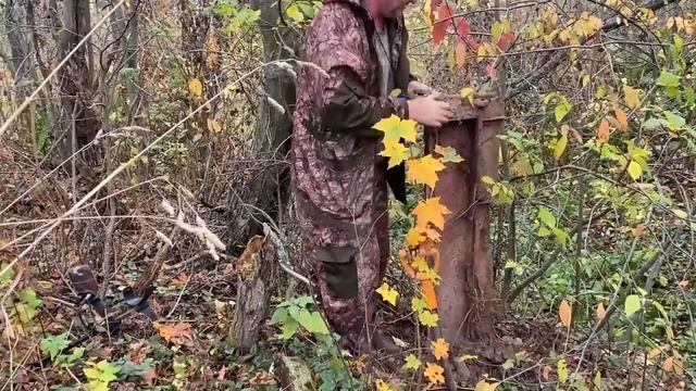 КОП В ЗАПРЕТНОЙ ЗОНЕ!!! ОТЛИЧНЫЕ НАХОДКИ! Металлолом. Копатель Металлокоп. Железо.