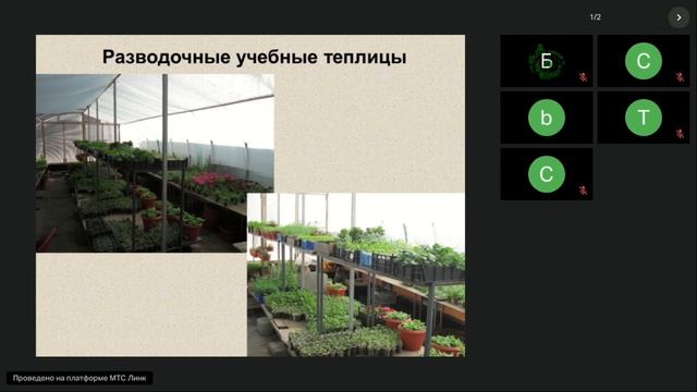 Ботанический сад Педагогического Университета г. Волгограда как опытная площадка для интродукции